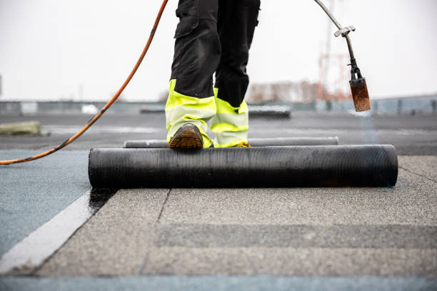 Best Skylight Installation and Repair  in Beresford, SD